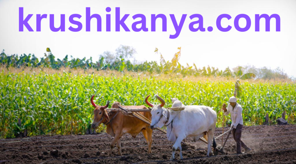 (Organic Farming सेंद्रिय शेतीचे फायदे व तोटे)