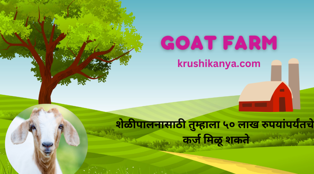 Goat Farming Loan In India शेळीपालनासाठी तुम्हाला ५० लाख रुपयांपर्यंतचे कर्ज मिळू शकते, येथे अर्ज करा