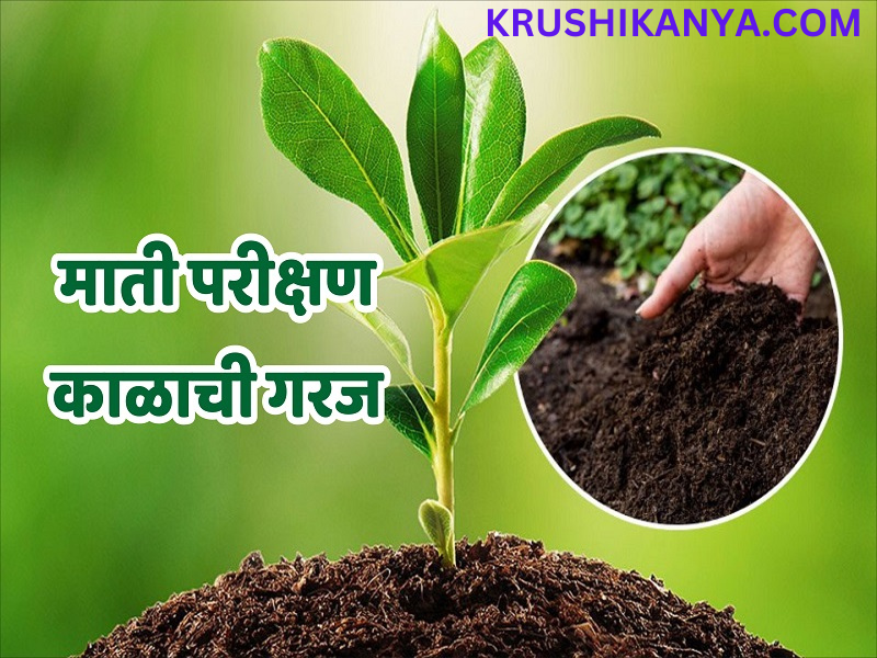 Soil Testing What Is Soil