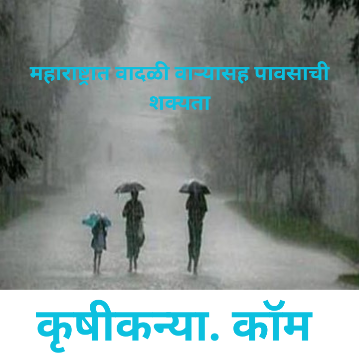 weather