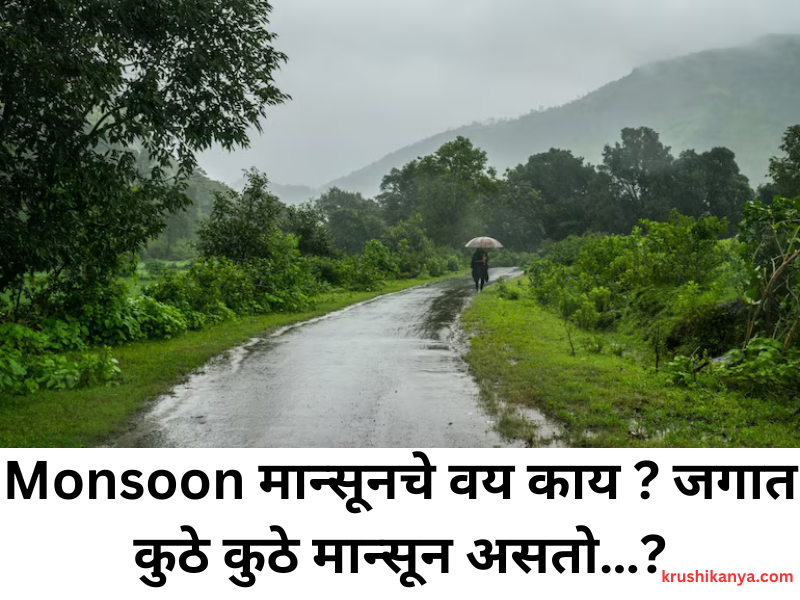 Monsoon मान्सूनचे वय काय ? जगात कुठे कुठे मान्सून असतो…?