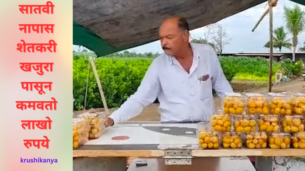 Modern Agriculture जालना चा शेतकरी आधुनिक शेती करून वर्षाकाठी ८ लाख रुपयांचे विक्रमी उत्पन्न घेतो