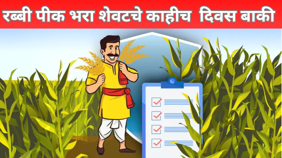 Rabbi Crop Insurance