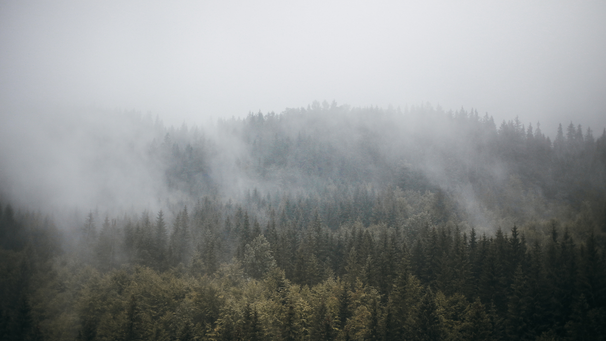 weather