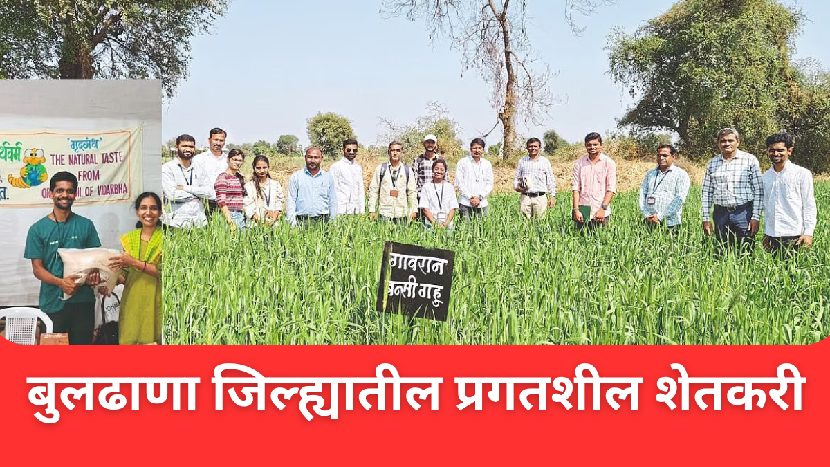 Organic Farming