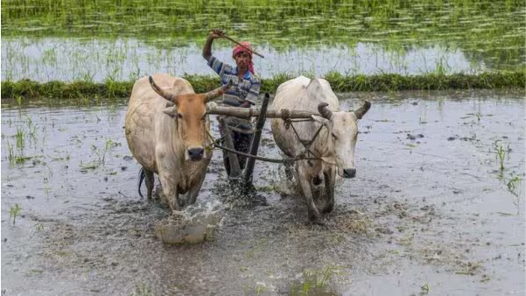 Agriculture News