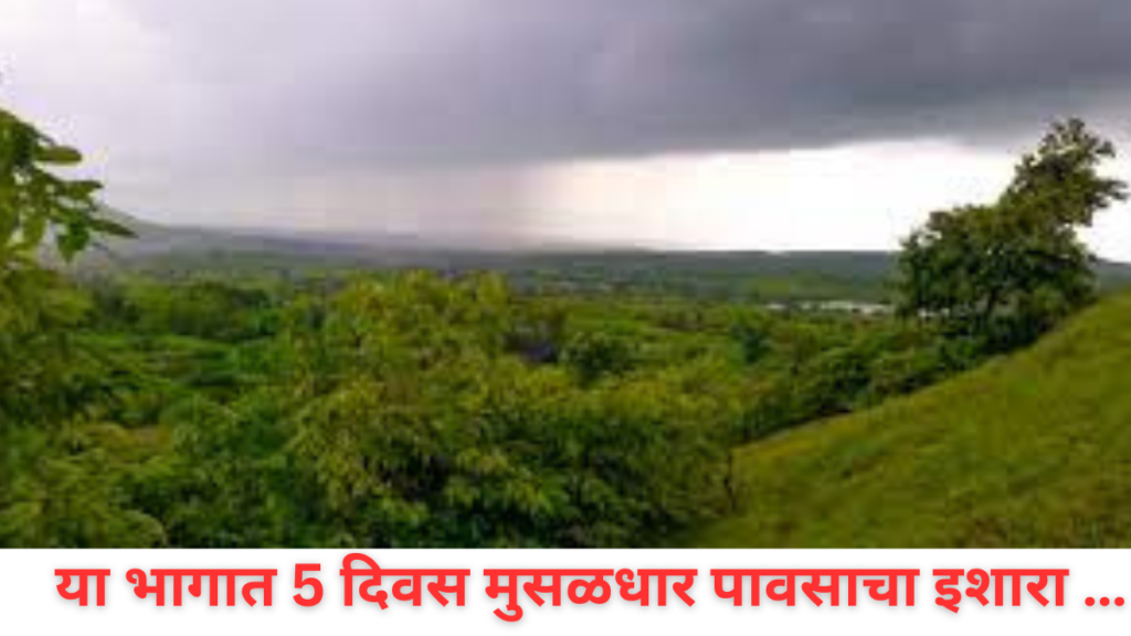 Weather Update